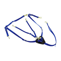 Peitoral de Biothane com Martingale Lakota Azul royal