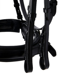 Bridão Evolution em Couro sem Rédeas Duplas Equestro Preto