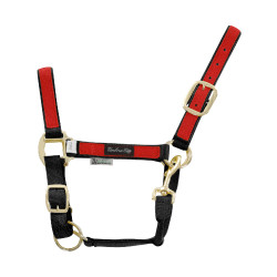 Cabezada de Nylon com Partes Coloridas Umbria Equitazione