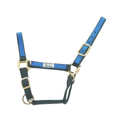 Cabezada de Nylon com Partes Coloridas Umbria Equitazione Verde / royal Multicolor