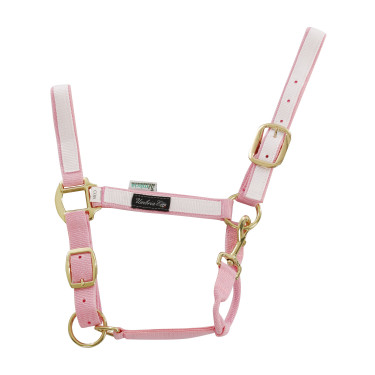 Cabezada de Nylon com Partes Coloridas Umbria Equitazione Rosa / branco