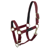 Cabresto de Nylon com Reforço de Couro Umbria Equitazione Bordéus Bordô Cabresto de Nylon com Reforço de Couro Umbria Equitazione Bordéus Bordô