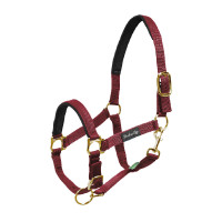 Cabezada de Nylon com Reforço em Neoprene Umbria Equitazione Bordéus Bordô Cabezada de Nylon com Reforço em Neoprene Umbria Equitazione Bordéus Bordô