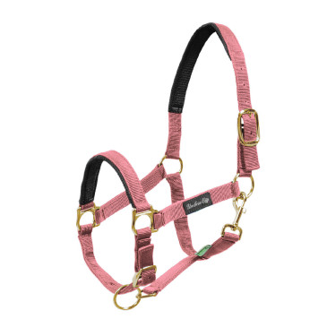 Cabezada de Nylon com Reforço em Neoprene Umbria Equitazione Rosa Cabezada de Nylon com Reforço em Neoprene Umbria Equitazione Rosa