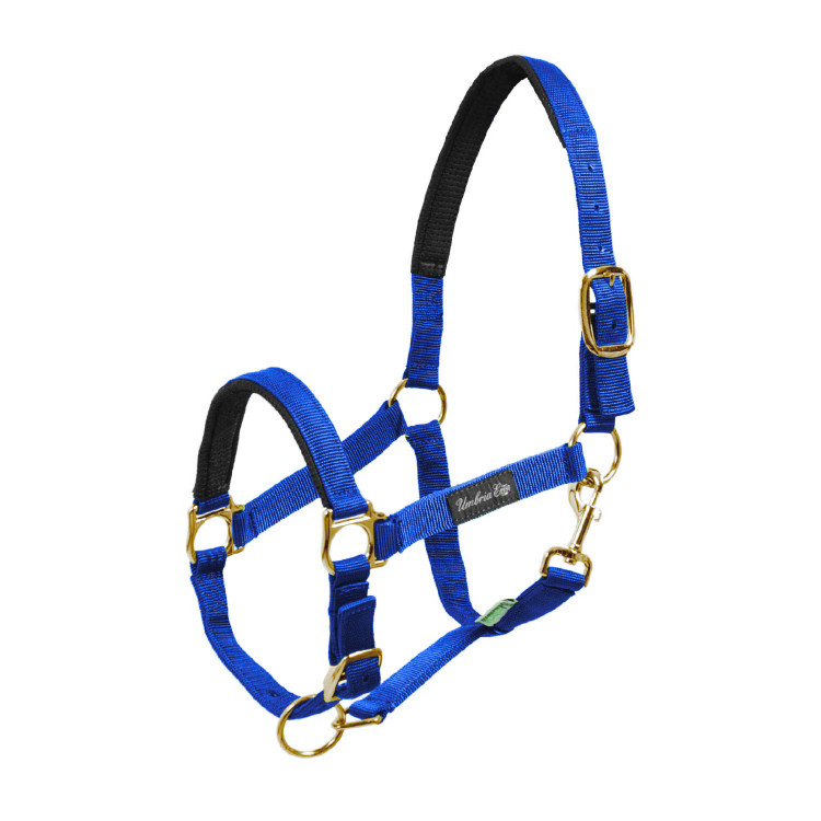 Cabezada de Nylon com Reforço em Neoprene Umbria Equitazione Cabezada de Nylon com Reforço em Neoprene Umbria Equitazione