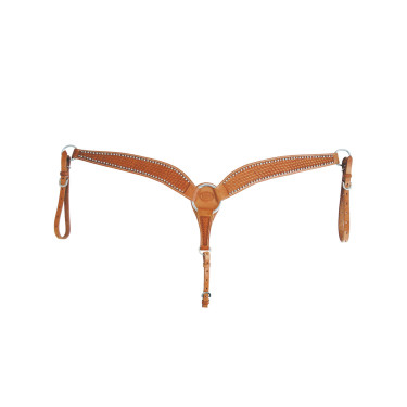 Peitoral Basket/Spots Pool's