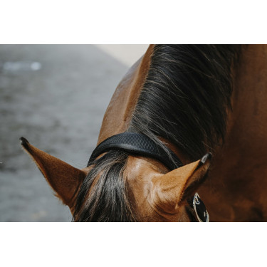 Caveção de nylon Equithème Protector Caveção de nylon Equithème Protector