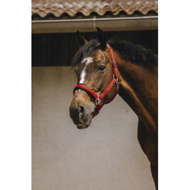Cabresto de nylon Equithème Jacquard Cabresto de nylon Equithème Jacquard