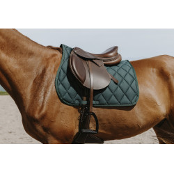 Sela de montar Riding World School Sela de montar Riding World School