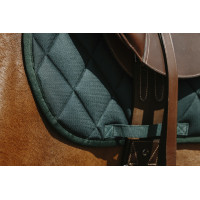 Sela de montar Riding World School Preto Sela de montar Riding World School Preto