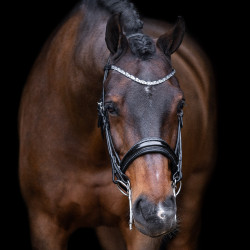 Bridão Impérial Riding Olympia