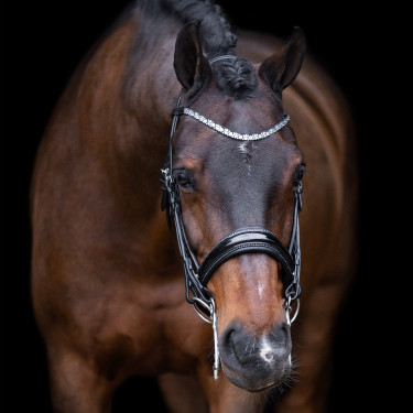 Bridão Impérial Riding Olympia