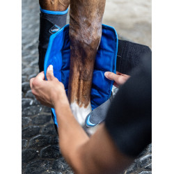 Guêtres Freeze Flow Ice dianteiras LeMieux Preto