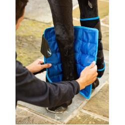 Guêtres Freeze Flow Ice dianteiras LeMieux Preto
