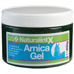 Gel de Arnica NaturalintX NAF Gel de Arnica NaturalintX NAF