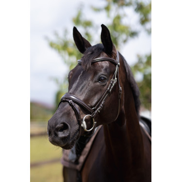 Filete bridon Nature Made Leisure Horze Marrom expresso Castanho