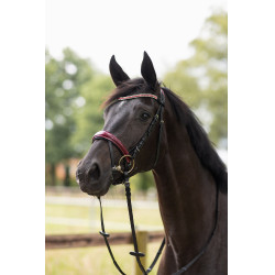 Cabeçada Filet Physical Sophistication Horze Cabeçada Filet Physical Sophistication Horze