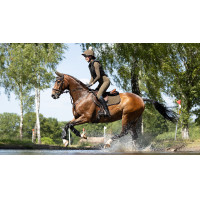 Tapete LeMieux Camurça Close Contact Quadrado Alpino Castanho