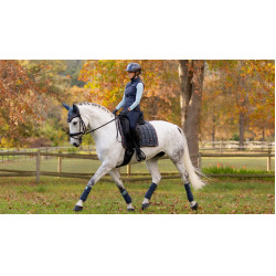 Tapete LeMieux Loire Classic Dressage Square Petróleo Azul