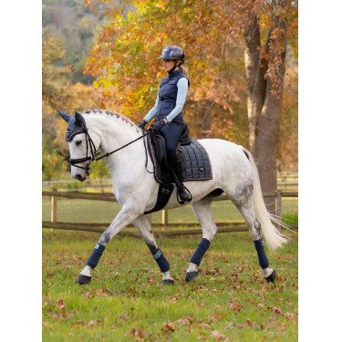 Tapete LeMieux Loire Classic Dressage Square Petróleo Azul Tapete LeMieux Loire Classic Dressage Square Petróleo Azul