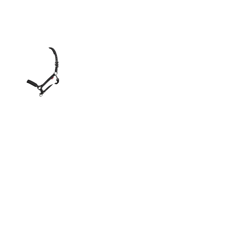 Cabresto LeMieux Logo Cabresto LeMieux Logo