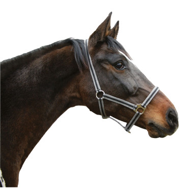 Caveção Hippo Covalliero Preto / prata