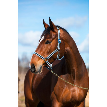 Caveção Hippo Covalliero Preto / prata
