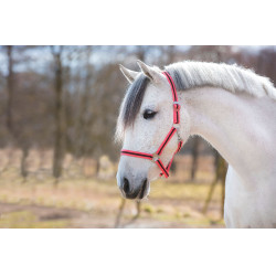 Caveção Hippo Covalliero Rosa / castanho