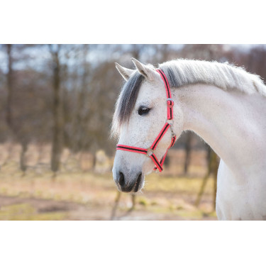 Caveção Hippo Covalliero Rosa / castanho