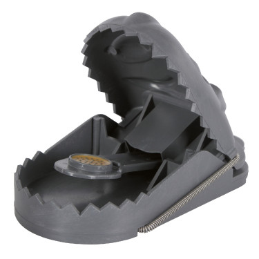 Armadilha para ratos RatStop