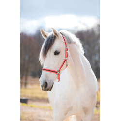 Caveção Hippo Covalliero Rosa / castanho