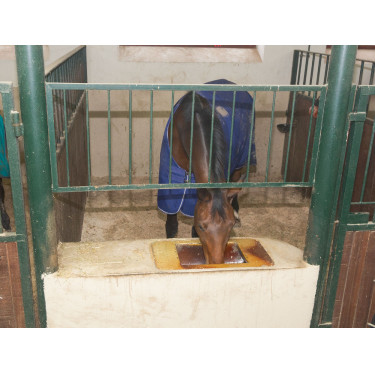 Câmera IPCam 2.0 HD