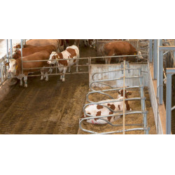 Câmera IPCam 2.0 HD