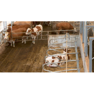 Câmera IPCam 2.0 HD