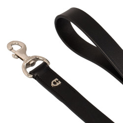 Coleira para cachorro modelo Polo N Equestro Coleira para cachorro modelo Polo N Equestro