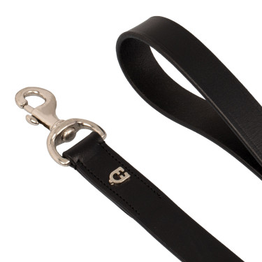 Coleira para cachorro modelo Polo N Equestro Coleira para cachorro modelo Polo N Equestro