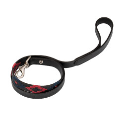 Coleira para cão modelo Polo S Equestro