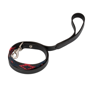 Coleira para cão modelo Polo S Equestro
