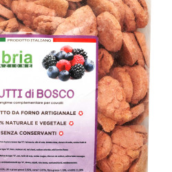 Crunchies para cavalos com bagas 930g Umbria Equitazione Crunchies para cavalos com bagas 930g Umbria Equitazione