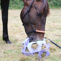 Bola de jogo / bola de feno Kentucky Cinzento