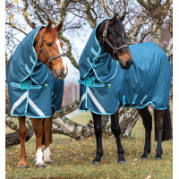 Cobertura Horseware Amigo AmEco 12 Plus 250g Azul escuro / azul claro / azul escuro Cobertura Horseware Amigo AmEco 12 Plus 250g Azul escuro / azul claro / azul escuro