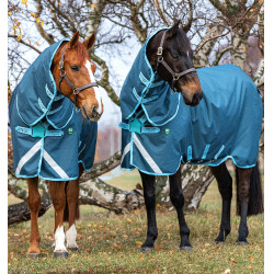 Cobertura Horseware Amigo AmEco 12 Plus 250g Cobertura Horseware Amigo AmEco 12 Plus 250g