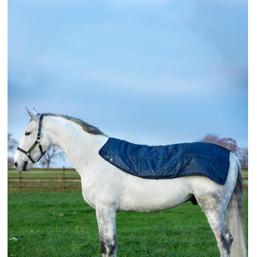 Capa de exterior Horseware Rambo® Summer 0g com disco e forro de 100g Capa de exterior Horseware Rambo® Summer 0g com disco e forro de 100g