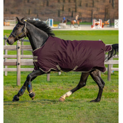 Capa Horseware Amigo Hero Ripstop Lite 0g Figue Violeta Capa Horseware Amigo Hero Ripstop Lite 0g Figue Violeta