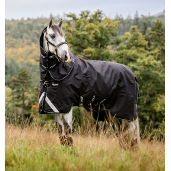 Capa Horseware Amigo Super Bravo Plus 250g Capa Horseware Amigo Super Bravo Plus 250g
