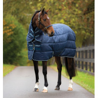 Manta Horseware Amigo Insulator Plus 350g com pescoceira Marinho / marinho / branco Azul-marinho Manta Horseware Amigo Insulator Plus 350g com pescoceira Marinho / marinho / branco Azul-marinho