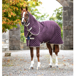 Cobertura de box Horseware Amigo Plus Disco 200g Cobertura de box Horseware Amigo Plus Disco 200g