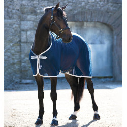 Camisa secante de rede Horseware Amigo 0g Camisa secante de rede Horseware Amigo 0g