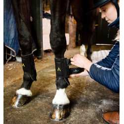 Guêtres Horseware Adagio Preto / amarelo Guêtres Horseware Adagio Preto / amarelo