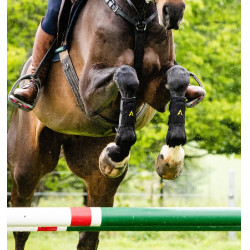 Guêtres Horseware Adagio Preto / amarelo Guêtres Horseware Adagio Preto / amarelo